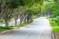 Pathway and beautiful trees track for running or walking and cycling relax in the park on green grass field. Alley with dense Royalty Free Stock Photo