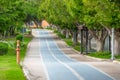 Pathway and beautiful trees track for running or walking and cycling relax in the park on green grass field. Alley with dense Royalty Free Stock Photo