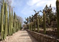 Botanical gardens in Cadereyta de Montes, Mexico. Royalty Free Stock Photo