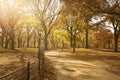 Pathway Through Central Park Royalty Free Stock Photo