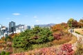 Pathway in colorful Namsan Park in Seoul city Royalty Free Stock Photo
