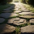 Pathway composed of large irregularly shaped stones surrounded by green Royalty Free Stock Photo