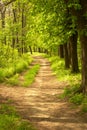 Pathway in countryside Royalty Free Stock Photo