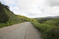 Narrow paved road cutting through a hillside in Orange County California