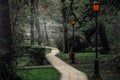 A pathway through the dark mystical pine forest. Natural tunnel. Tall tree silhouettes in a thick morning fog. The light Royalty Free Stock Photo