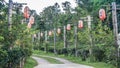 Pathway decorate with red chinese lantern in village tribeChinese word on latern is mean happy and lucky