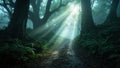 Pathway through an enchanted misty forest with sun rays filtering through ancient trees casting a dreamy and serene atmosphere Royalty Free Stock Photo