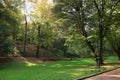 Pathway, fallen leaves, green grass and trees in beautiful public city park on autumn day Royalty Free Stock Photo