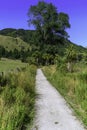 Pathway on the farm Royalty Free Stock Photo