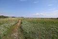 Pathway in a field covered in the grass under the sunlight in Drejet, Toro Huse, Denmark Royalty Free Stock Photo
