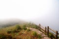 Pathway in the fog Royalty Free Stock Photo