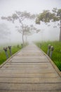 Pathway, fog,