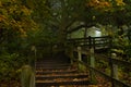 Pathway in the fog Royalty Free Stock Photo