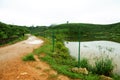 Pathway or Footpath through mixed forest near lake. Path passing Royalty Free Stock Photo