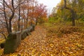 A pathway in a forest along high river bank in the autumn. Royalty Free Stock Photo