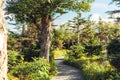 Pathway in forest in Cape Breton Highlands National Park