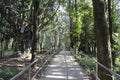 Pathway in forest for people walking go to travel visit and respect pray Phra That Doi Chang Mub Stupa in Chiang Rai, Thailand