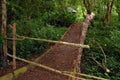 Pathway at the forest in Puerto Princesa, Palawan, Philippines Royalty Free Stock Photo