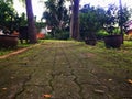 MThe pathway in the garden is green moss depending on the rainy season.