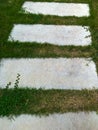 Pathway in the garden, stepping stones in the grass lawn Royalty Free Stock Photo