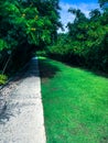 Pathway in the garden, stepping stones in the grass lawn Royalty Free Stock Photo