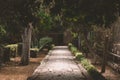 Pathway in the garden with trees around Royalty Free Stock Photo
