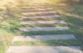 Pathway in The Green Garden