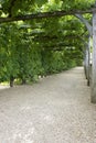 Pathway through grapevine covered pergola at chateau, de, villandry, loire, valley, france Royalty Free Stock Photo