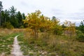 Pathway trail in grassland in Fall Michigan Royalty Free Stock Photo