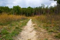 Pathway in grassland in Fall Michigan Royalty Free Stock Photo