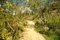 Happy Camp Canyon Park hiking path Moorpark California Royalty Free Stock Photo