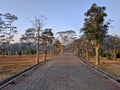 Pathway in the Indrokilo botanical garden, Boyolali, Indonesia. Stepping stones in the grass lawn, the way to success and mileston Royalty Free Stock Photo