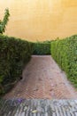 Pathway inside a labyrinth in a garden with orange plaster wall