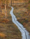 Pathway in the Kakerdaja Bog Royalty Free Stock Photo