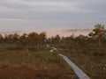 Pathway in the Kakerdaja Bog Royalty Free Stock Photo