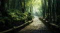 A pathway leading through an enchanting bamboo grove