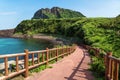 Pathway leading to beach with view over ocean and Ilchulbong, Seongsan, Jeju Island, South Korea