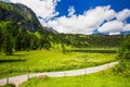 Pathway leading to Lauenensee near Gstaad, Berner Oberland, Switzerland