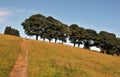 Pathway leading to the top of a hill in a summer meadow with a line of green trees and bright sunny sky with a sign Royalty Free Stock Photo