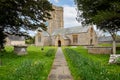 Pathway lined with yellow buttercups and daffodils leading to the Church of St Mary in the village of Burton Bradstock, Dorset, UK