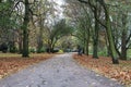 Pathway in a local park Royalty Free Stock Photo