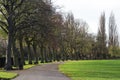 Pathway in a local park Royalty Free Stock Photo