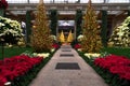 Pathway in the Longwood Gardens surrounded by trees with Christmas lights in Pennsylvania