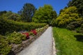 Pathway in the Lost Gardens of Heligan in Cornwall, UK Royalty Free Stock Photo