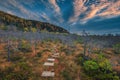 Pathway made of wooden planks over the plants, Mohos bog Royalty Free Stock Photo