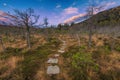 Pathway made of wooden planks over the swamp, Mohos bog Royalty Free Stock Photo