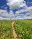 Pathway on meadow Royalty Free Stock Photo
