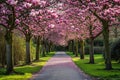 A pathway in the middle of a park is beautifully lined with vibrant pink flowers, creating a stunning visual display, Blooming