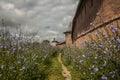 Pathway in the middle of purple flowers near fortress walls under a cloudy sky in Russia Royalty Free Stock Photo