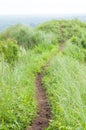 Pathway on mount Batulao, Philippines Royalty Free Stock Photo